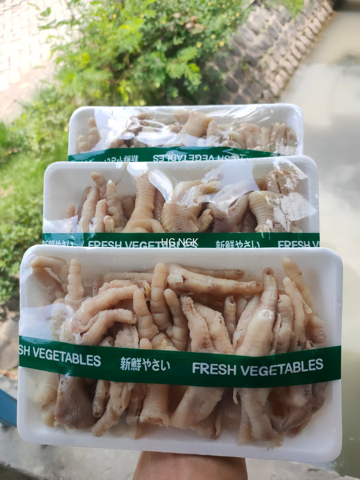 Ceker tanpa tulang foam